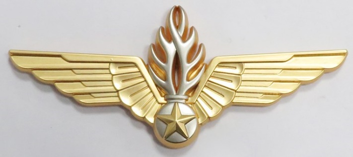 Brevet aéronautique des Forces Aériennes de la Gendarmerie