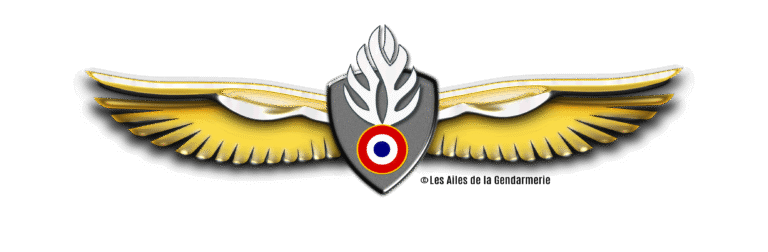 Les Ailes de Choucas, un insigne mythique !